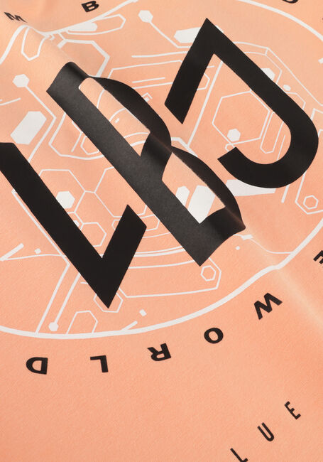 Oranje INDIAN BLUE JEANS T-shirt T-SHIRT IBJ BACKPRINT - large