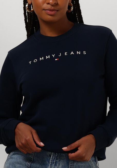 Blauwe TOMMY JEANS Trui TJW REG LINEAR CREW - large