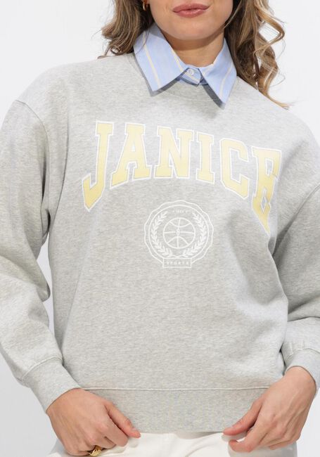 Grijze JANICE Truien/vesten OWEN - large