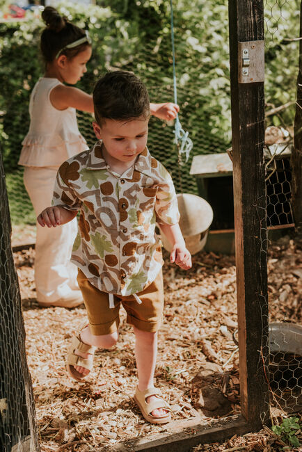 Bruine KOKO NOKO Korte broek N58801 - large