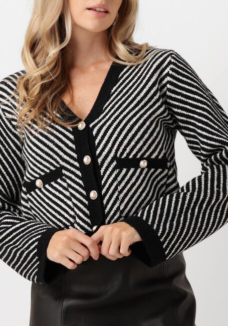 Zwarte Y.A.S. Vest YASCHARLA LS SEQUIN KNIT CARDIGAN - large