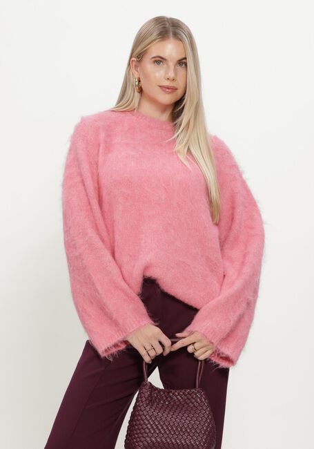 Roze NOTRE-V Trui NV-INSA - large