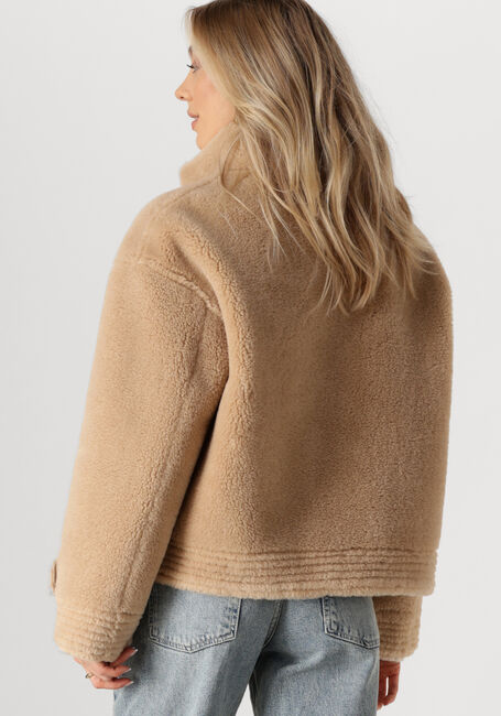 Camel IBANA Jack CHRIS - large