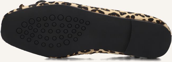 Beige STEFANO LAURAN Ballerina's SS36100 Beige STEFANO LAURAN Ballerina's SS36100 - large