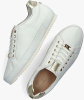 Witte HASSIA Lage sneakers PADOVA - medium