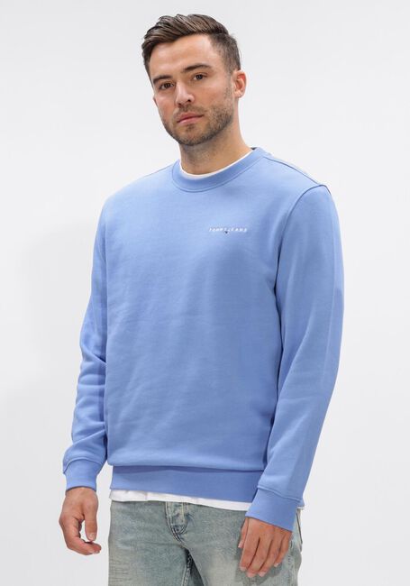 Beige TOMMY JEANS Sweater TJM REG LINEAR CREW EXT - large