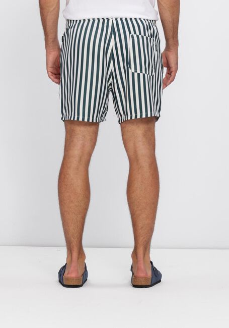 Groene POCKIES Zwembroeken STRIPE SHORTIES - large