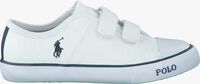 Witte POLO RALPH LAUREN Sneakers DAYMOND EZ - medium