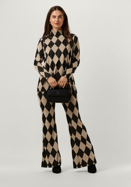 Bruine ANA ALCAZAR Pantalon TROUSERS - large