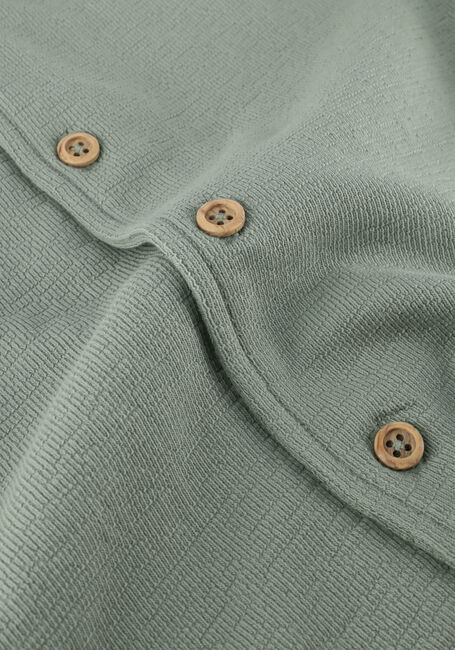 Groene DAILY7 Polo T-SHIRT FANCY POLO - large