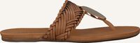 Cognac AREZZO Teenslippers A0327401070001U - medium