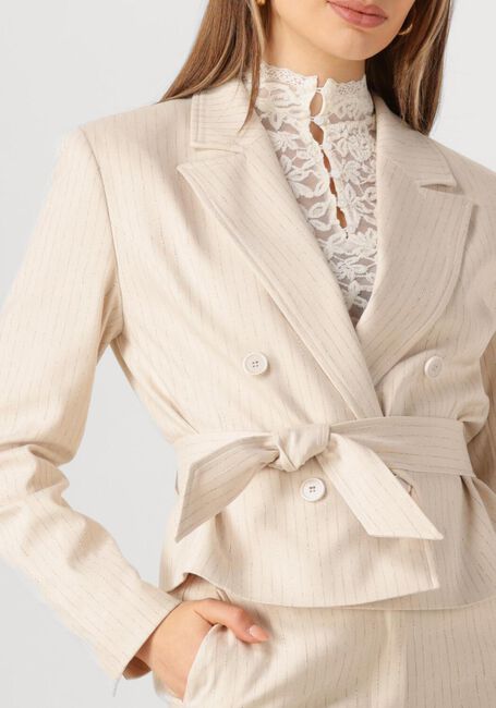 Gebroken wit AAIKO Blazer MAE STRIPE VIS 526 - large
