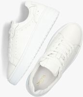 Witte OMODA Lage sneakers ANEMONE - medium