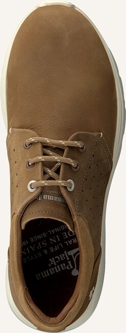 Taupe PANAMA JACK Lage sneakers JULIUS Taupe PANAMA JACK Lage sneakers JULIUS - large