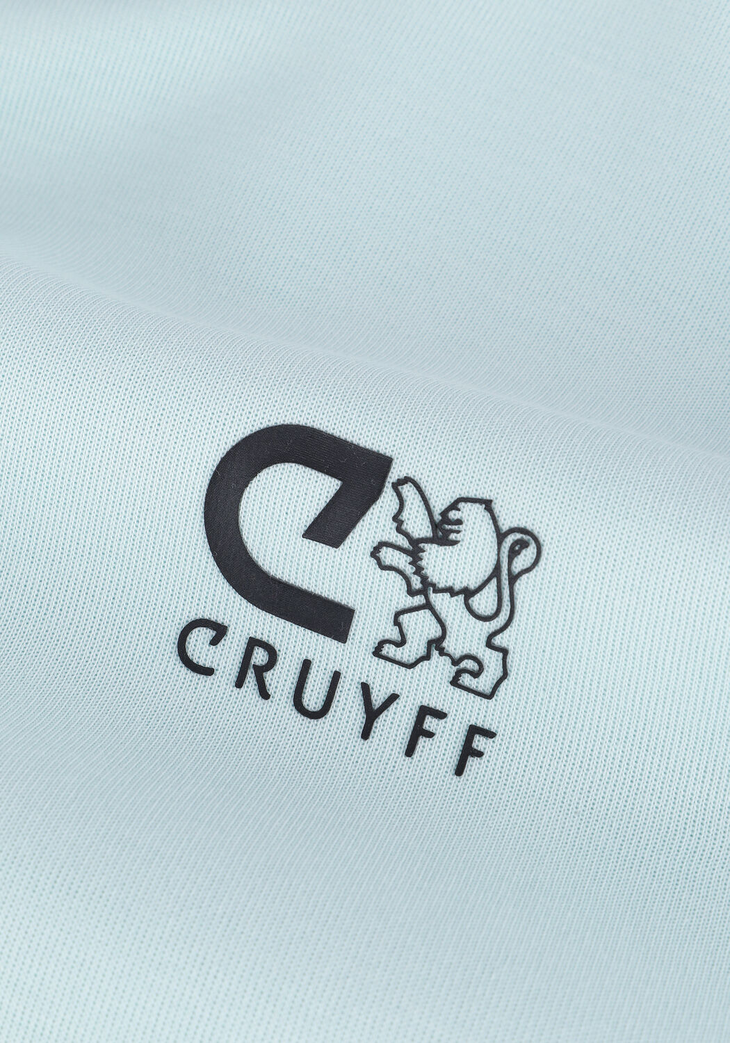 Blauwe CRUYFF Sweater JOAQUIM HOODIE - COTTON - large