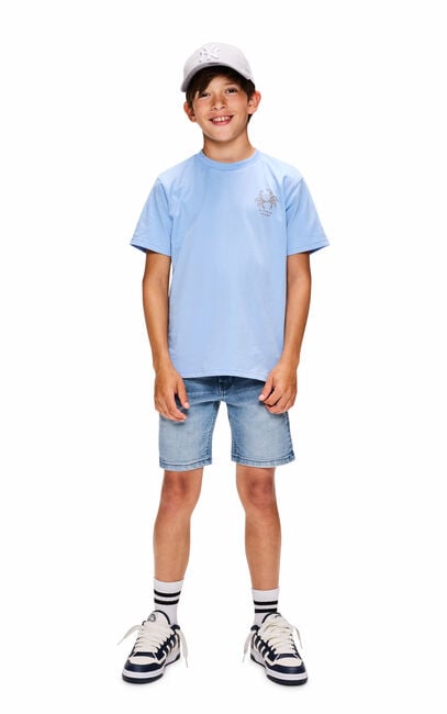 Grijze RETOUR T-shirt DAMON - large