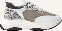 Witte ROBERTO D'ANGELO Lage sneakers 705 - medium