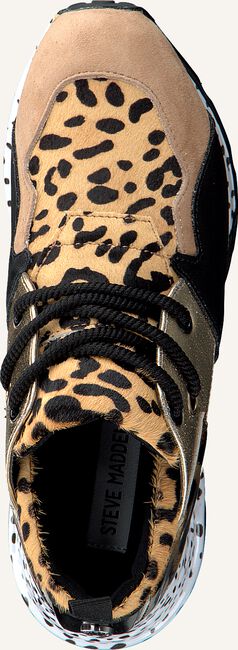 Bruine STEVE MADDEN Lage sneakers CLIFF SNEAKER Bruine STEVE MADDEN Lage sneakers CLIFF SNEAKER - large
