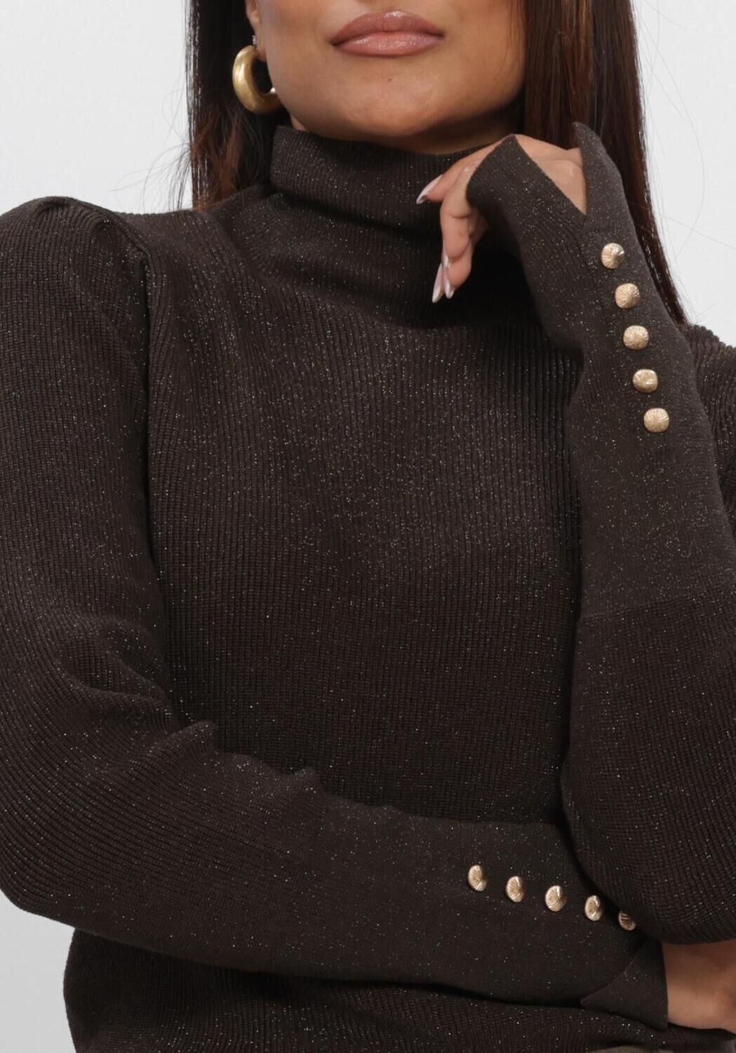 NUKUS Dames Truien & Vesten Sylvia Pullover Lurex Bruin