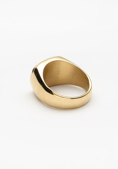 Gouden NOTRE-V Ring RING GROTE STEEN - large