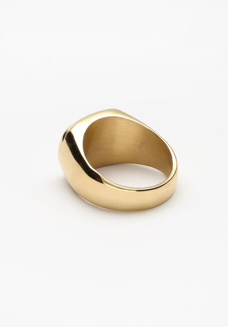 Gouden Notre-V Ring Ring Grote Steen | Omoda