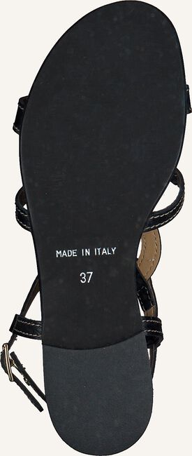 Zwarte NOTRE-V Platte sandalen 19133 Zwarte NOTRE-V Platte sandalen 19133 - large