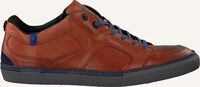 Cognac FLORIS VAN BOMMEL Lage sneakers 14422 - medium