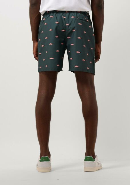 Groene SHIWI  MEN SWIMSHORT CLOWNFISH - large