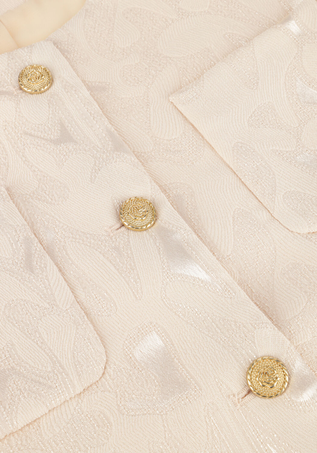 Zilverkleurig AMAYA AMSTERDAM Blazer SILVER - large