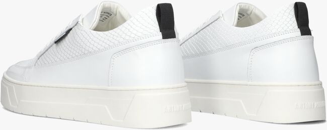 Witte ANTONY MORATO Lage sneakers MMFW01665 - large