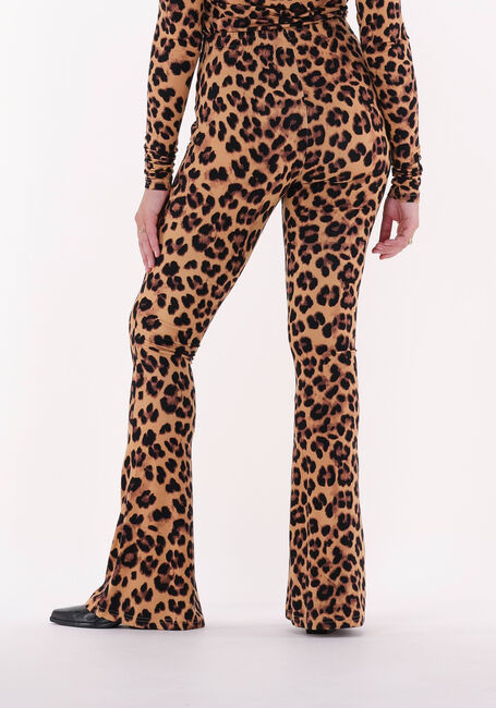 Bruine HARPER & YVE Flared broek LEXIE-PA - large