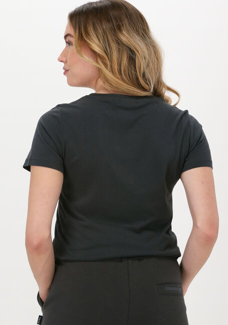 Grijze COLOURFUL REBEL T-shirt BORN LUCKY GLITTER CLASSIC TEE - large