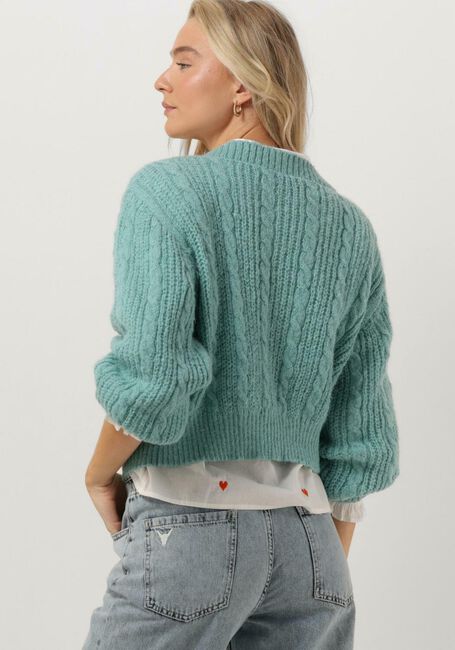 Lichtblauwe YDENCE Vest CARDIGAN PLIEN - large