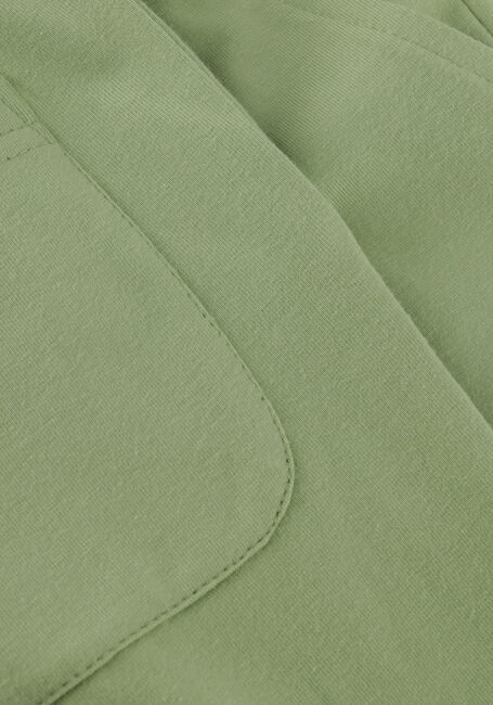 Groene TON & TON Broeken TAICO - large