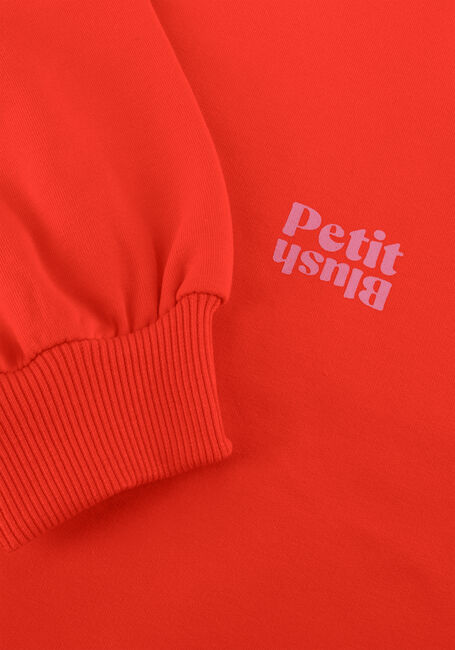 Rode PETIT BLUSH Sweater EASY SWEATER - large