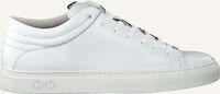 Witte NAT-2 Lage sneakers SLEEK LOW - medium