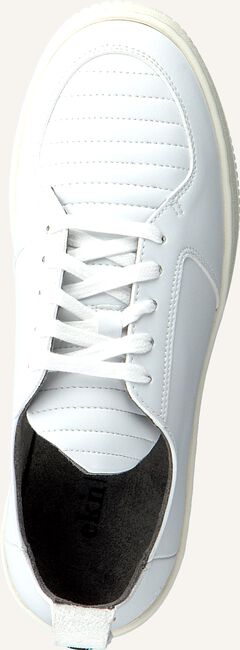Witte EKN FOOTWEAR Lage sneakers ARGAN LOW SUTRI DAMES Witte EKN FOOTWEAR Lage sneakers ARGAN LOW SUTRI DAMES - large