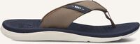 Taupe REEF Teenslippers SANTA ANA BOYS Taupe REEF Teenslippers SANTA ANA BOYS - medium