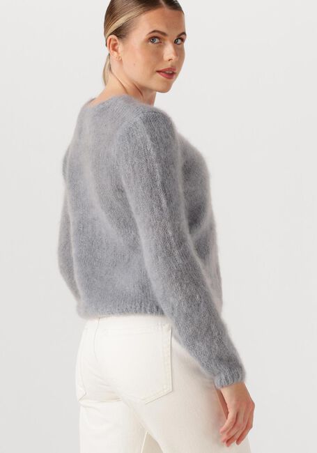 Lichtgrijze DES PETITS HAUTS Trui CHOUKY - large