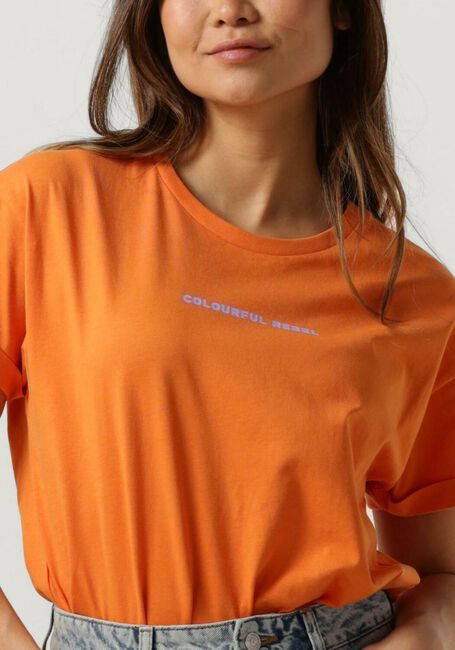 Oranje COLOURFUL REBEL T-shirt UNI LOGO BOXY TEE - large