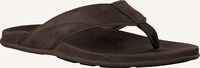 Bruine OLUKAI Teenslippers PIKOI Bruine OLUKAI Teenslippers PIKOI - medium