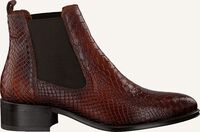 Cognac NOTRE-V Chelsea boots 567 001FY - medium