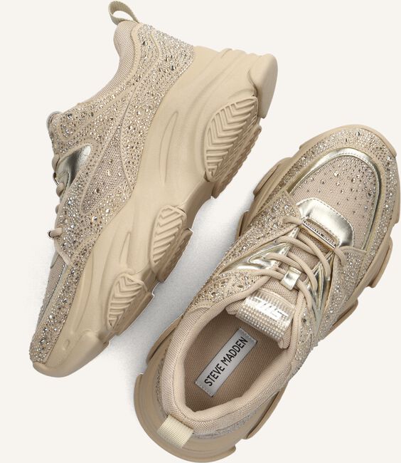 Beige STEVE MADDEN Lage sneakers PRIVY Beige STEVE MADDEN Lage sneakers PRIVY - large