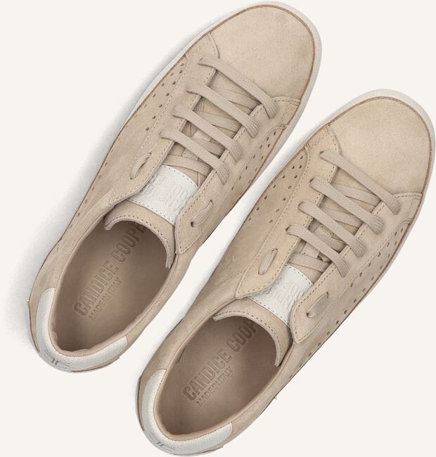 Beige CANDICE COOPER Lage sneakers DAFNE Beige CANDICE COOPER Lage sneakers DAFNE - large