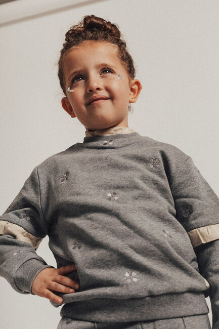 Grijze BAJE STUDIO Sweater DERBY - large