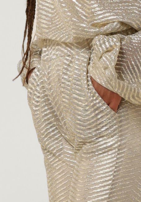 Gouden AMAYA AMSTERDAM Pantalon TOMMIE - large
