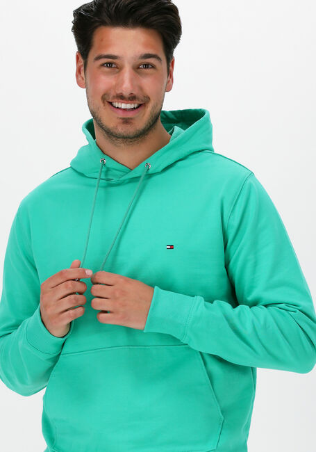 Groene TOMMY HILFIGER Sweater 1985 HOODY - large