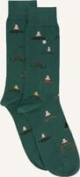 Groene ALFREDO GONZALES Sokken MOUSTACHES - medium