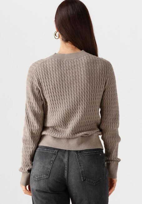 Beige TOMMY HILFIGER Trui CO CABLE FINE GG C-NK LS SWT - large