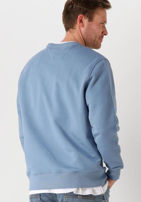 Blauwe TOMMY JEANS Trui TJM REG BADGE CREW EXT - large